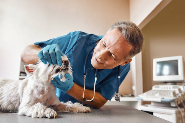 Best Emergency Tooth Extraction in Parkville, MO